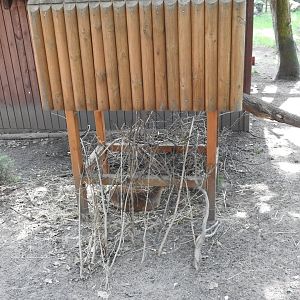 a pasture for muntjacs