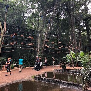 Macaw vivarium - parque das aves