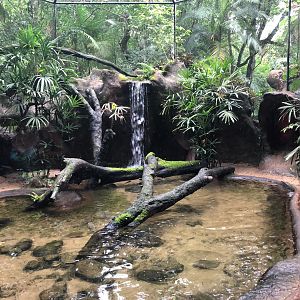 Boa constrictor exhibit - parque das aves