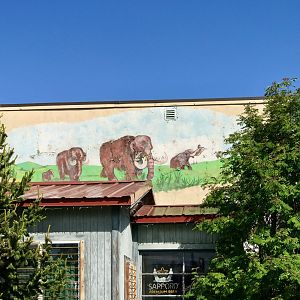 Mammoth Mural - 6th Ave, Anchorage