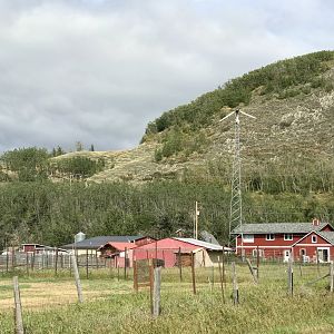 The Reindeer Farm, The Butte, Palmer, Alaska - August 2020