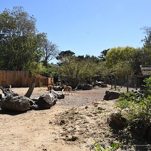 S-American enclosure