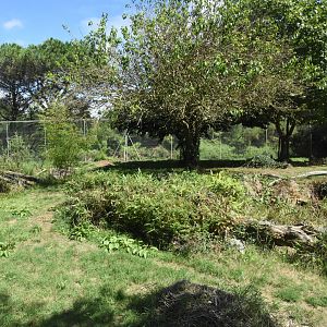Barbary Lion enclosure