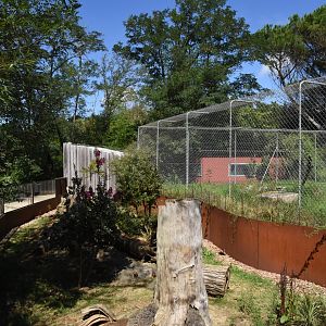 Bat-eared Fox and Dwarf Mongoose enclosure