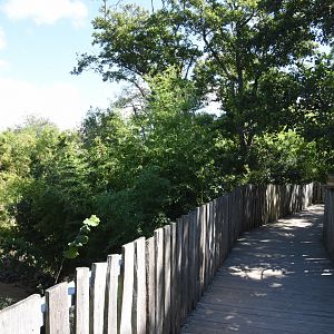 Bridge after zoo entrance
