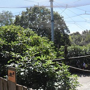Lory walkthrough aviary