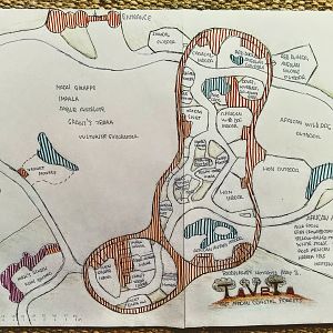 Biodiversity Hotspots Part 3.: Taveta East African coastal forests