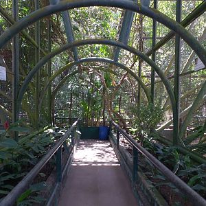 Main aviary - Aracaju zoo