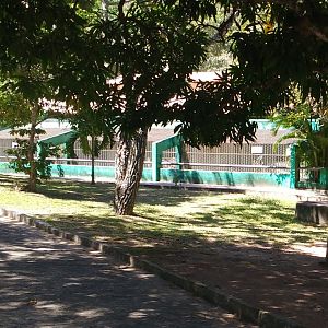 Small cats row - Aracaju zoo