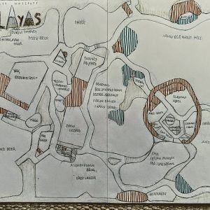 Biodiversity Hotspots Part 4.: Himalayas- Lowland to Peak