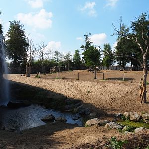 Savanna paddock, 2020-09-02