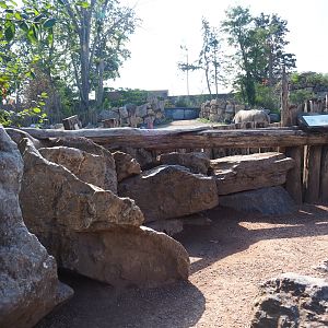 Southern white rhinoceros viewing area, 2020-09-02
