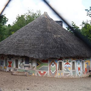 Western sitatunga, Marabou and Stanley crane barn, 2020-09-02