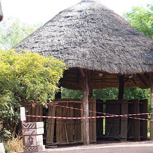 Closed-off picnic and viewing area next to the Shoebill/African openbill aviary, 2020-09-02