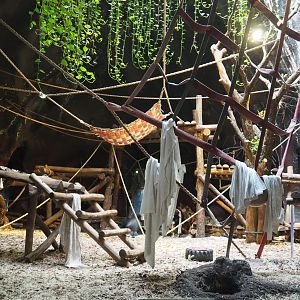 Western lowland gorilla indoor housing in the first gorilla volcano, 2020-09-02