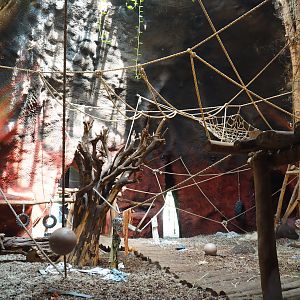 Western lowland gorilla indoor housing in the second gorilla volcano, 2020-09-02