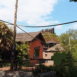 Lemur island structures and part of one the second gorilla volcano, 2020-09-02