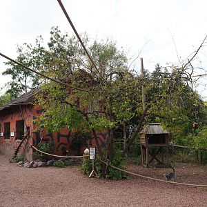 View on the lemur island, 2020-09-02