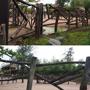 Rothschild's giraffe separation paddock, 2020-09-02