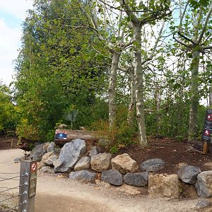 Peruvian squirrel monkey island, 2020-09-02