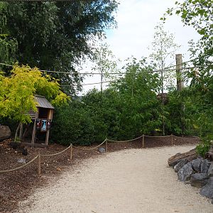 Peruvian squirrel monkey island, 2020-09-02