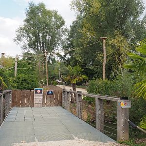 Passage from the Peruvian squirrel monkey to the Black howler monkey island, 2020-09-02