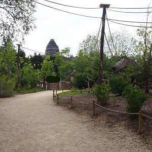 Black howler monkey island, 2020-09-02