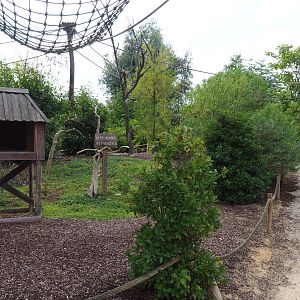 Black howler monkey island, 2020-09-02