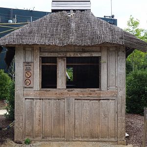 Monkey shelter on the black howler monkey island, 2020-09-02