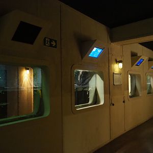 Row of turtle tanks, 2020-09-02