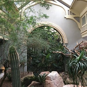 Desert aviary in the birdhouse