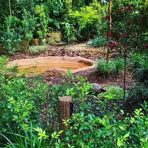 RepTopia - Asian Giant Tortoise and Elongated Tortoise exhibit