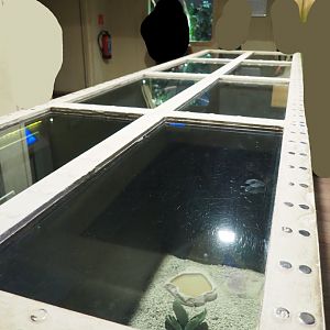 Naff top-down view terraria, 2020-09-02