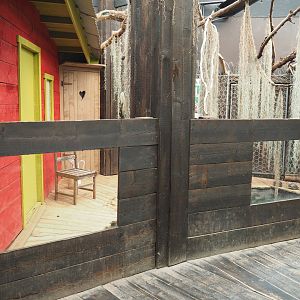 American alligator and Pond slider exhibit boardwalk, 2020-09-02