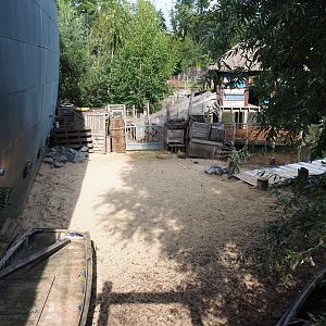 Land area of the Pygmy hippopotamus and Great white pelican exhibit, 2020-09-02