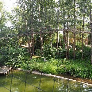 Second shoebill aviary, 2020-09-02