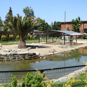 Nile crocodile exibit