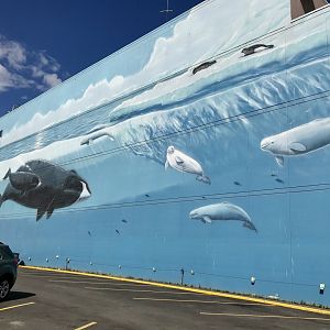 Anchorage’s Whale Mural.
