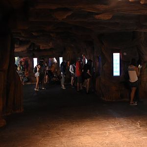 Mediterranean section