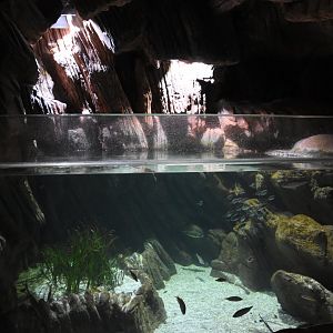 Mediterranean tank example