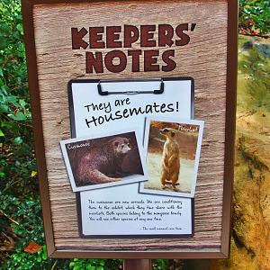 Another new species on display!