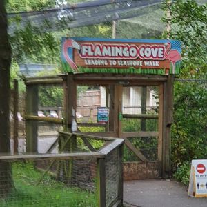 Walk through flamingo avairy