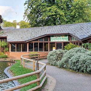 View of temperate house