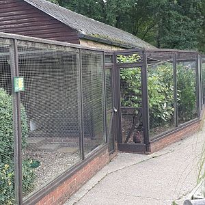 Aviaries