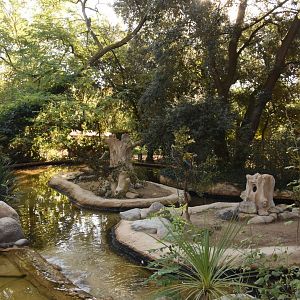 Parrots on sticks...