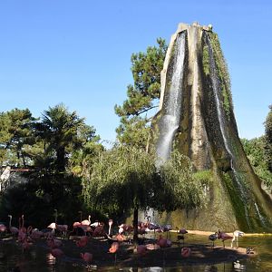 Caribbean Flamingo enclosure