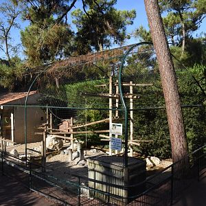 Squirrel Monkey cage