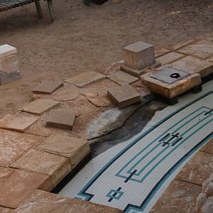 Tiles in the Lion enclosure