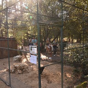 one of thee Fennec Fox cages