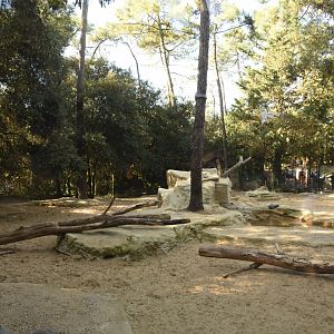 Arctic Wolf enclosure